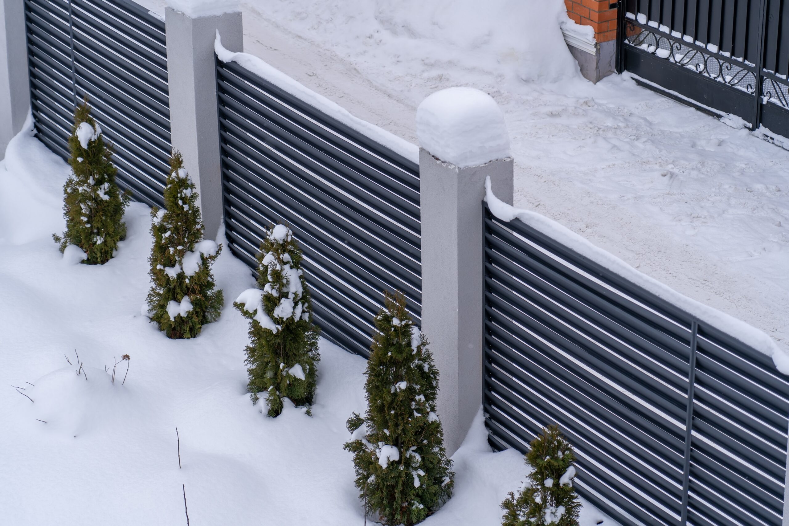 Fence for all seasons