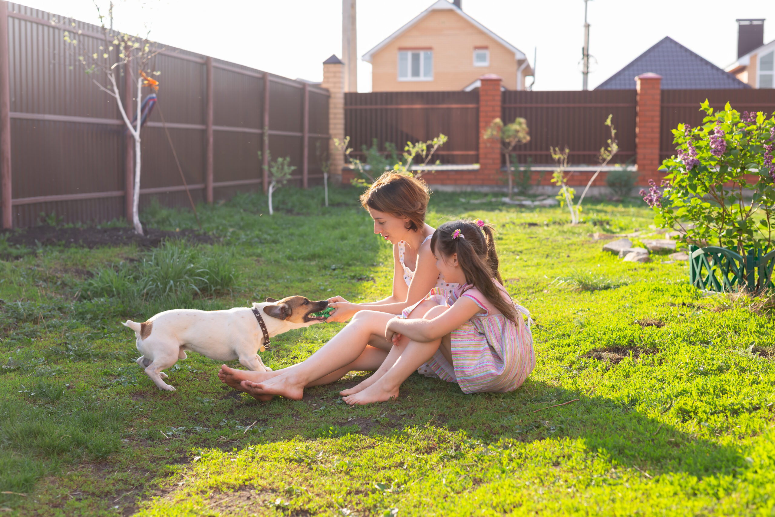 Kids with a dog playing in the backyard